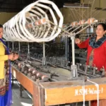 साहसिक कदमों से प्रदेश बन रहा वैश्विक औद्योगिक केंद्र: ठाकुर सुखविन्द्र सिंह सुक्खू