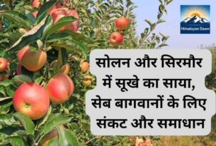 विशेष रिपोर्ट: