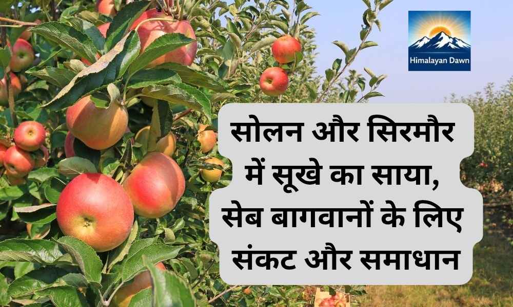 विशेष रिपोर्ट: