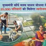 मुख्यमंत्री कार्प मत्स्य पालन योजना से 20,000 परिवारों को मिलेगा स्वरोजगार