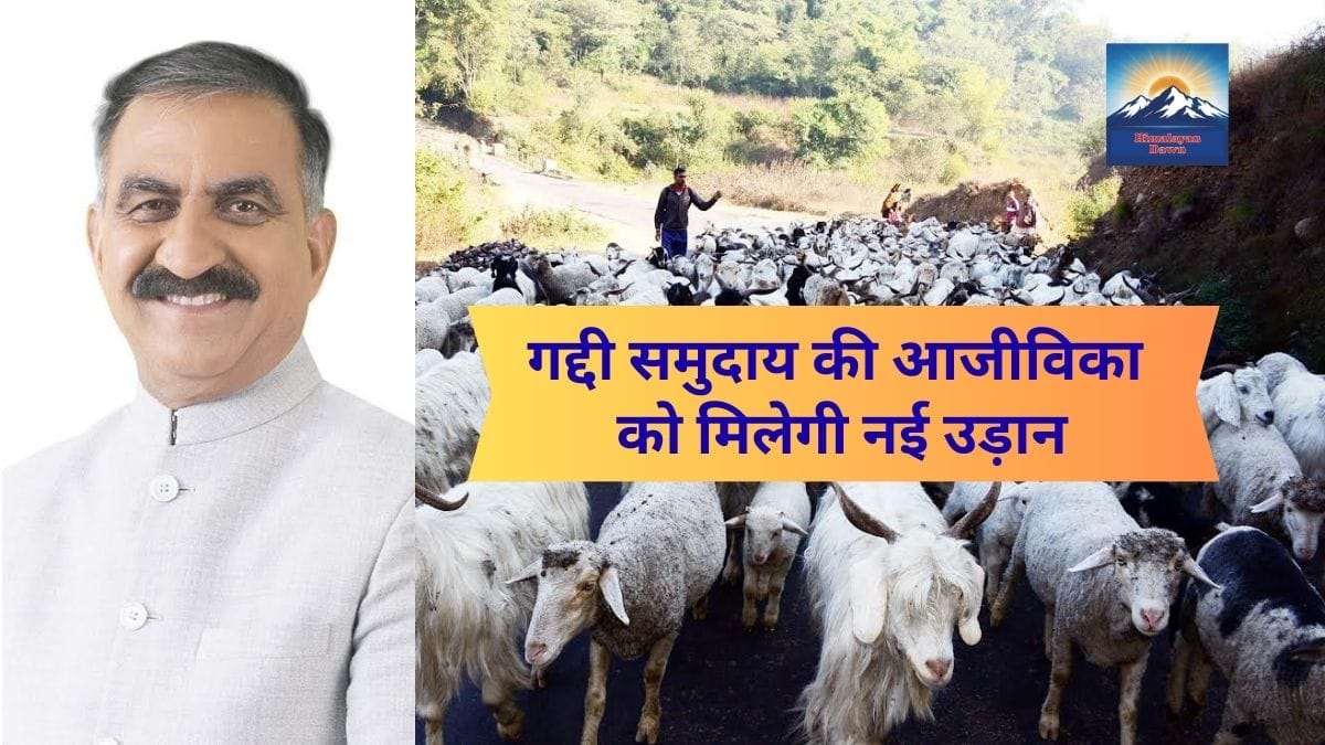 Gaddi community will get a new boost