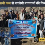 मंडी के बांधी में जापानी फल की क्रांति: 12 हेक्टेयर में रोपे जाएंगे 8000 पौधे