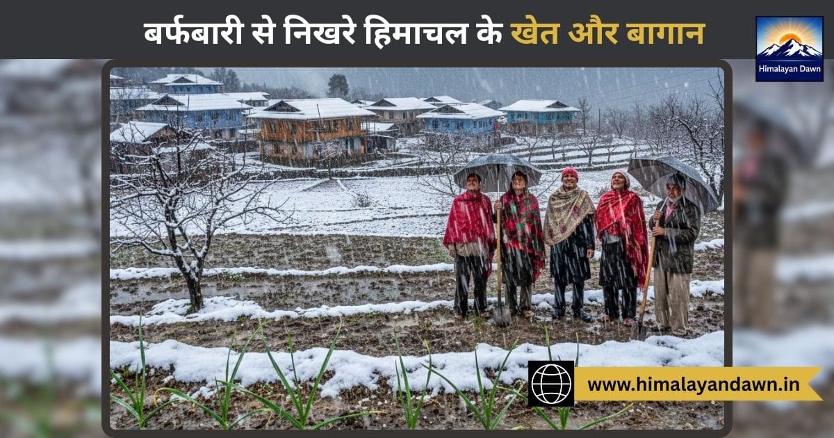 सोलन-सिरमौर में बारिश और बर्फबारी