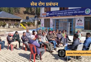 सेब रोग प्रबंधन नौणी यूनिवर्सिटी सोलन