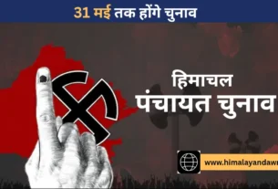 हिमाचल निकाय चुनाव सुप्रीम कोर्ट फैसला 31 मई डेडलाइन ग्राफिक्स