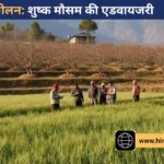 सोलन: अगले पांच दिनों तक मौसम रहेगा शुष्क, किसानों को सिंचाई और कीट नियंत्रण की सलाह