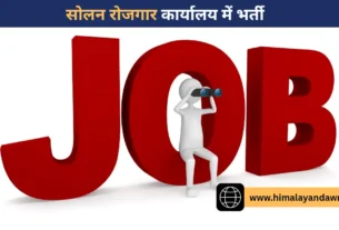 सोलन में 297 पदों पर भर्ती