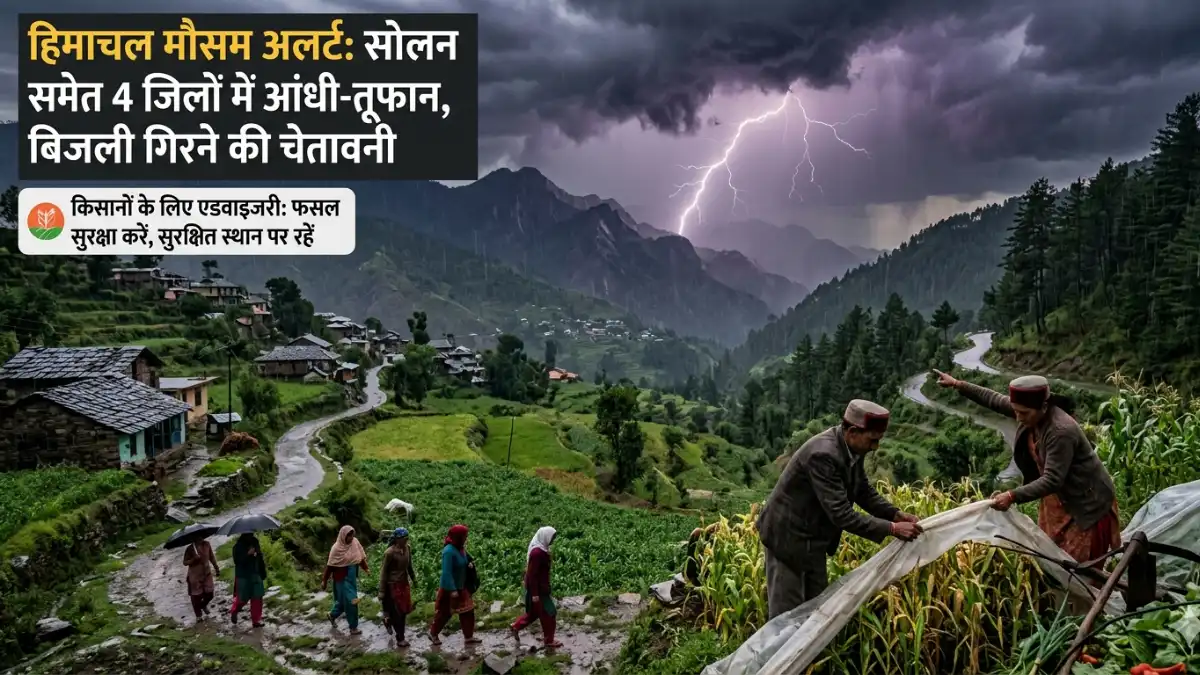 Farmers advisory for wheat and apple crops Himachal Pradesh Nauni University