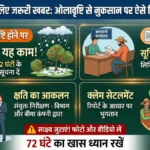 सेब बागवानों के लिए जरूरी खबर: ओलावृष्टि से नुकसान पर ऐसे मिलेगा बीमा क्लेम, समय का रखें खास ध्यान