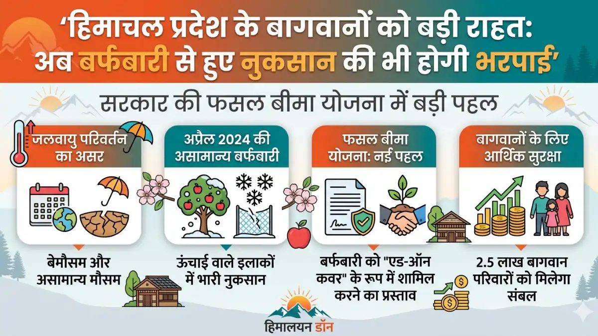 Infographic showing Himachal government's new snowfall insurance scheme for apple