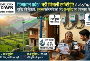 हिमाचल प्रदेश बिजली सब्सिडी योजना - दो मीटरों पर फ्री बिजली और जीरो बिल की जानकारी वाला ग्राफिक्स।