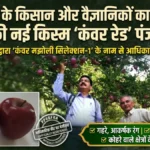 शिमला के बागवान का कमाल! 47 साल पुराने सेब के पेड़ पर उगी ऐसी जादुई शाखा, जिसने बना दी नई किस्म