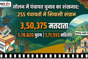 Solan Panchayat Election Announcement News Graphic with Voter Statistics