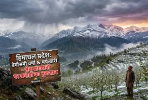 हिमाचल में अप्रैल में बर्फबारी से ढके सेब के बाग- काल्पनिक चित्र