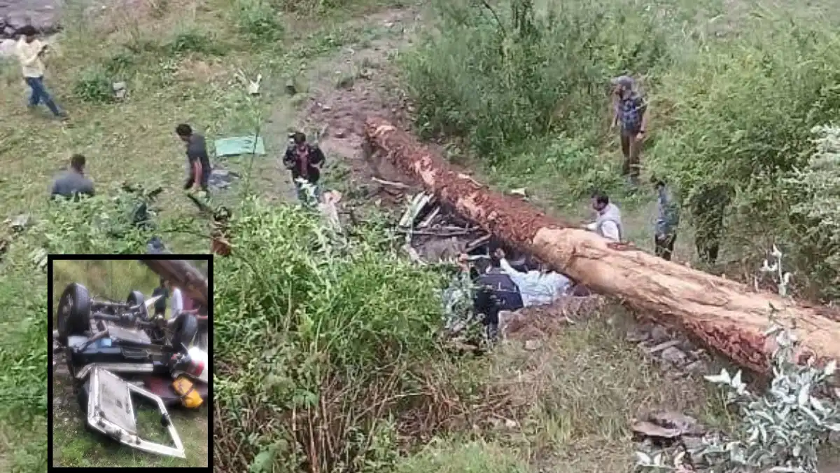 Himachal Kullu accident tree fell on car