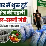 सिरमौर: नौहराधार में शुरू हुई रेणुका क्षेत्र की पहली थोक फल-सब्जी मंडी, अब किसानों को मिलेगा फसल का सही दाम
