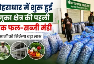 नौहराधार में शुरू हुई रेणुका क्षेत्र की पहली थोक फल एवं सब्जी मंडी में किसानों की उपज खरीदते व्यापारी