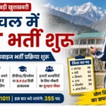 हिमाचल में PET भर्ती का बड़ा मौका: 355 पदों पर बैचवाइज भर्ती शुरू, जानें काउंसलिंग डेट और जिला वार सीटें