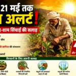 सोलन में 21 मई तक लू का अलर्ट, किसानों को सुबह-शाम सिंचाई की सलाह
