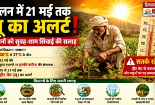 सोलन में 21 मई तक लू के अलर्ट को दर्शाती फीचर्ड इमेज जिसमें किसान खेत में काम करते हुए और तापमान चेतावनी दिखाई गई है