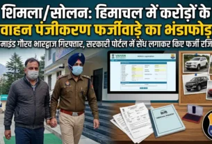 Solan Police arrest Gaurav Bhardwaj in HP vehicle registration scam case