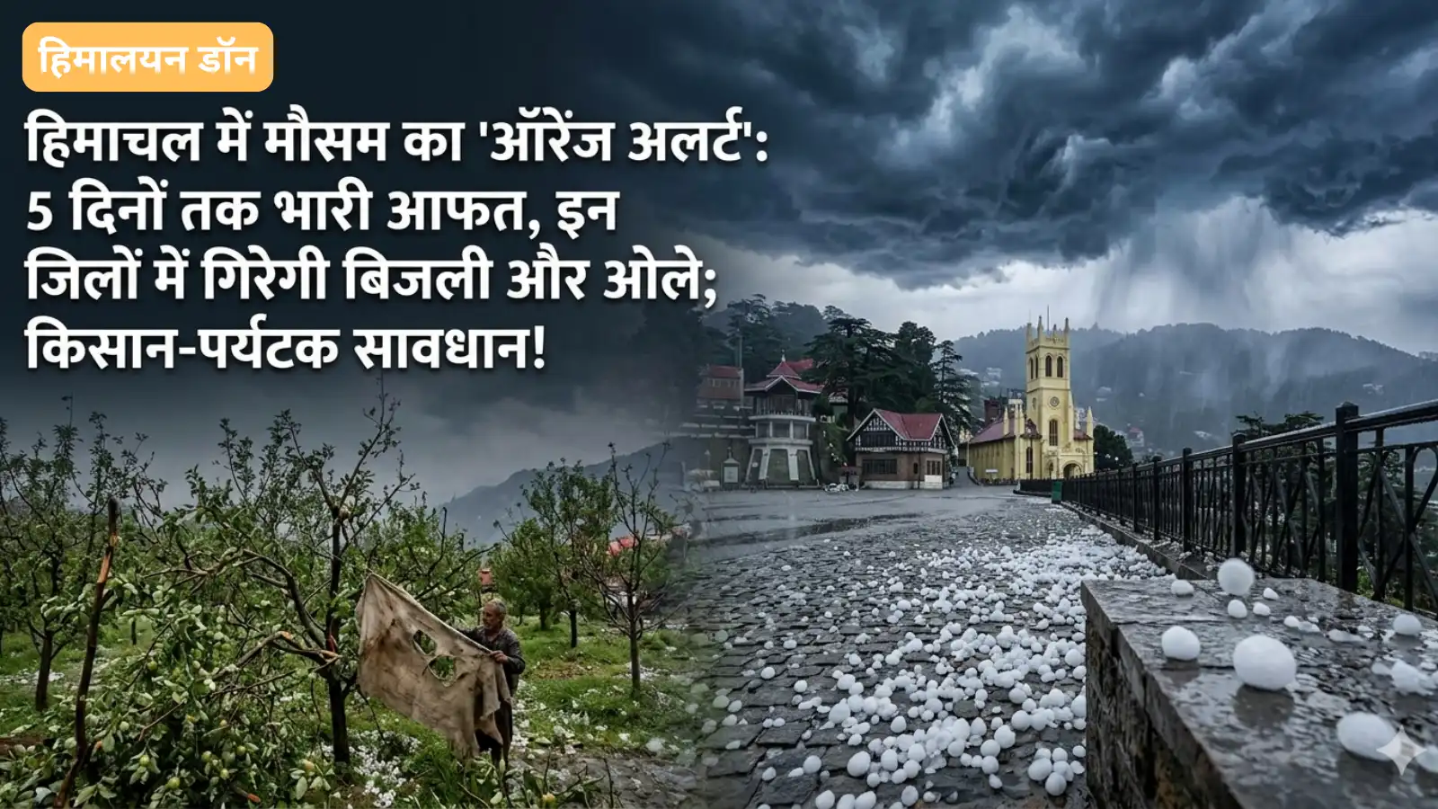 Himachal Weather Orange Alert Hailstorm in Shimla and Kangra May 2026