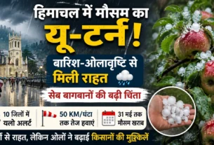 हिमाचल प्रदेश में बारिश और ओलावृष्टि के बाद सेब की फसल पर असर तथा 10 जिलों में यलो अलर्ट दर्शाती फीचर्ड इमेज