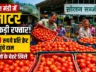 सोलन सब्जी मंडी में टमाटर की बढ़ी आवक के बीच क्रेटों में रखे टमाटर और काम करते किसान व व्यापारी