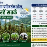 सोलन में अगले पांच दिन मौसम रहेगा परिवर्तनशील, किसानों को सेब में स्कैब-अल्टरनेरिया रोग की निगरानी की सलाह