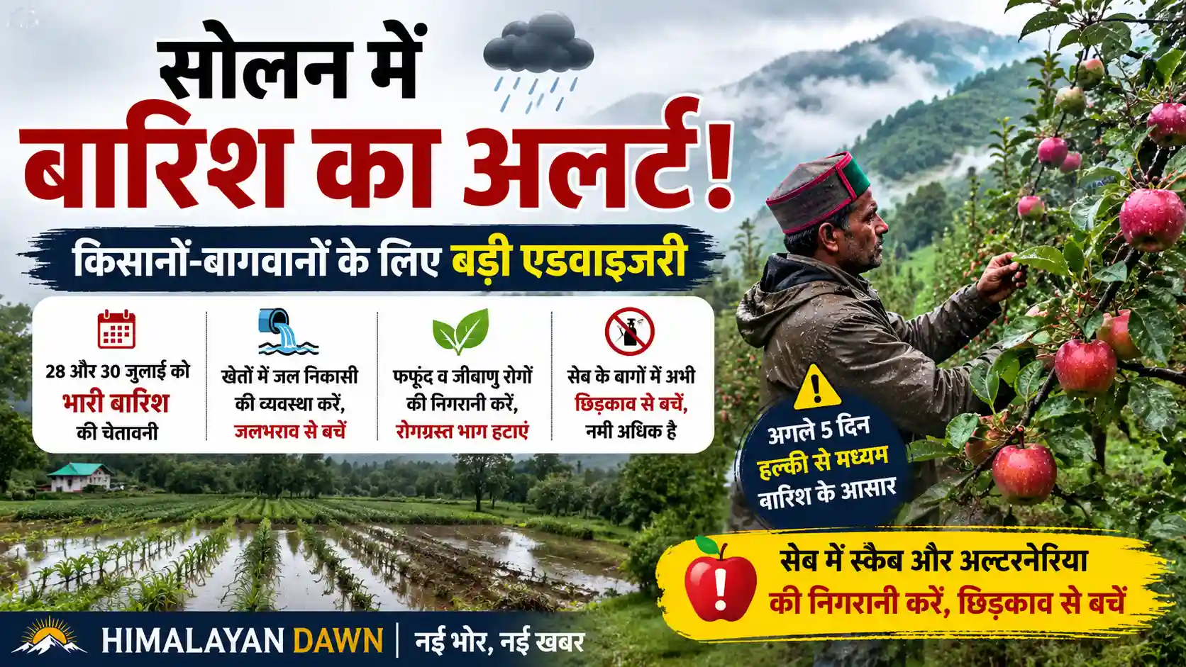 सोलन में बारिश के मौसम को लेकर किसानों और बागवानों के लिए कृषि मौसम सलाह