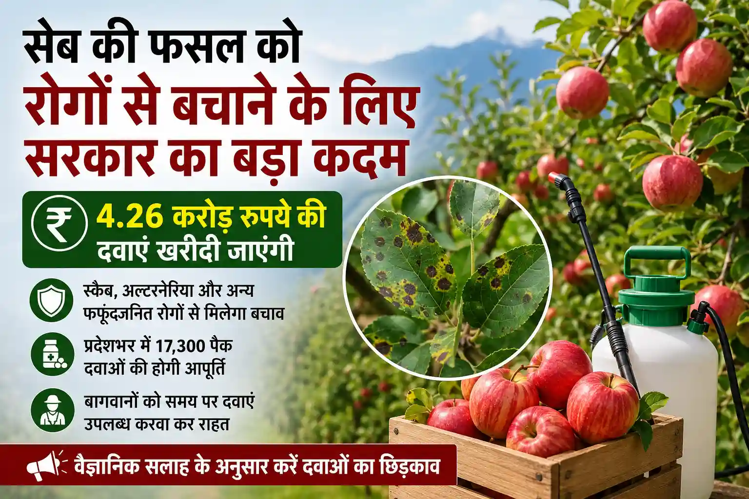 हिमाचल में सेब की फसल को रोगों से बचाने के लिए 4.26 करोड़ रुपये की दवाएं