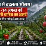 सोलन में फिर बदलेगा मौसम का मिजाज! 13-14 अगस्त को भारी बारिश का अलर्ट, किसानों के लिए जारी हुई खास सलाह