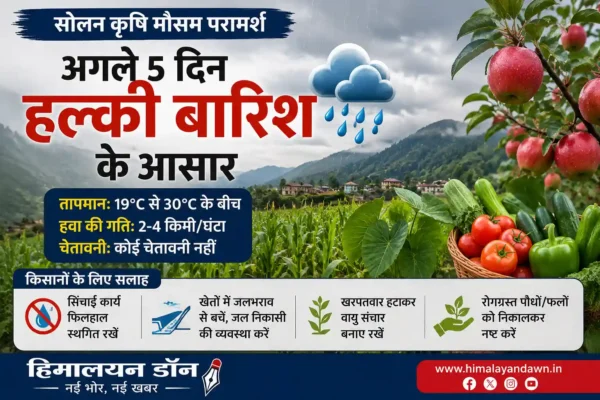 सोलन में अगले पांच दिनों तक हल्की बारिश का पूर्वानुमान और किसानों के लिए कृषि मौसम सलाह
