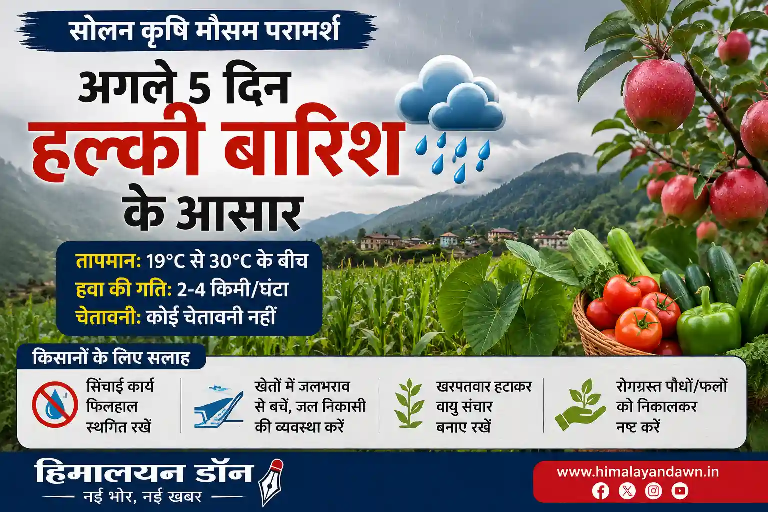 सोलन में अगले पांच दिनों तक हल्की बारिश का पूर्वानुमान और किसानों के लिए कृषि मौसम सलाह