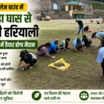 रामपुर कॉलेज ग्राउंड में लौटेगी हरियाली, 7-10 दिन में दिखेगा बदला हुआ मैदान; खिलाड़ियों को मिलेगी बड़ी सुविधा