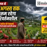 सोलन में 8 अगस्त तक मौसम रहेगा परिवर्तनशील, भारी बारिश की चेतावनी के बीच किसानों को सतर्क रहने की सलाह