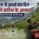 सोलन में अगले पांच दिन हल्की बारिश के आसार, किसानों-बागवानों को सतर्क रहने की सलाह