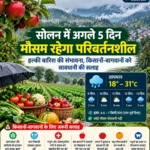 सोलन में अगले पांच दिन मौसम रहेगा परिवर्तनशील, किसानों को फसलों में रोगों से बचाव की सलाह