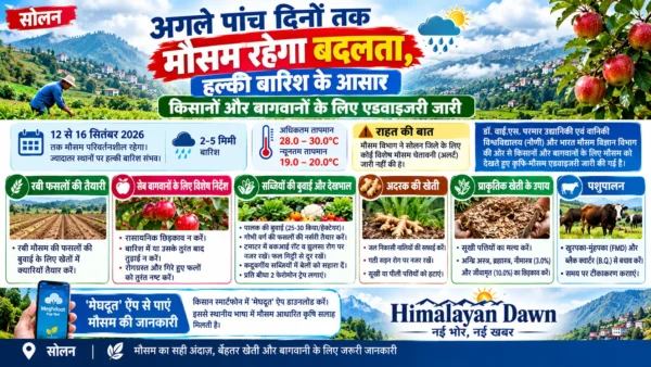 सोलन में 12 से 16 सितंबर तक मौसम और किसानों के लिए कृषि एडवाइजरी