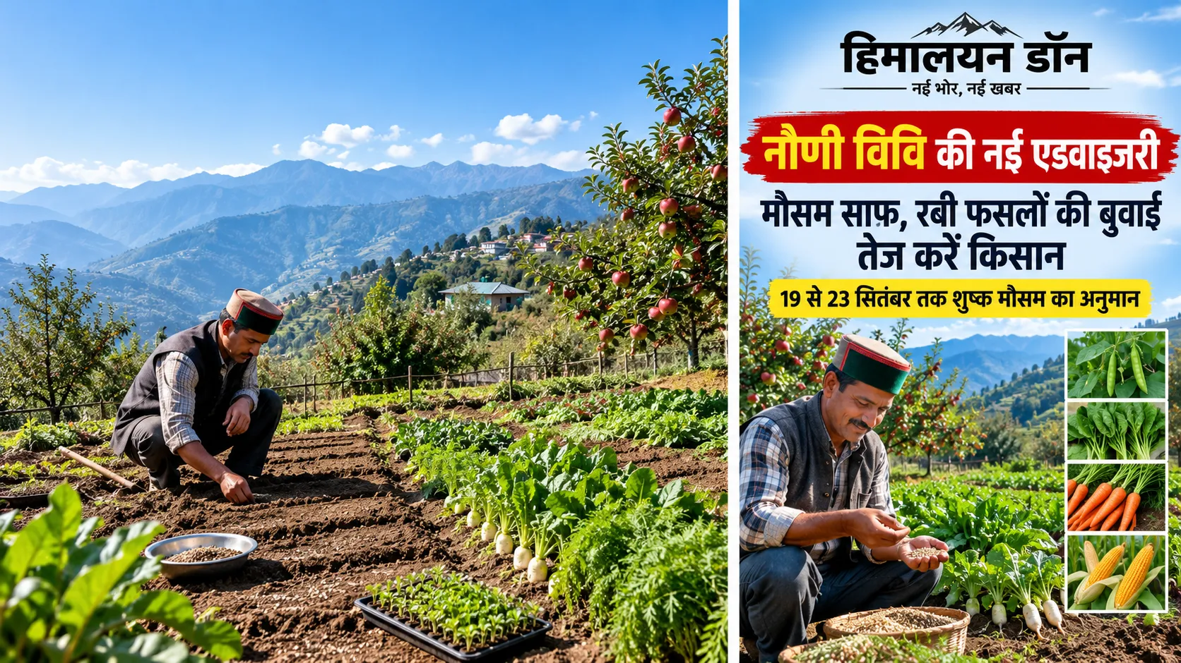 नौणी विश्वविद्यालय की कृषि एडवाइजरी और रबी फसलों की बुवाई